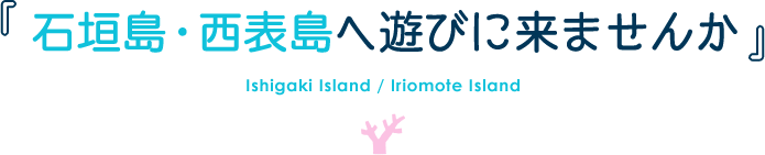 石垣島・西表島へ遊びに来ませんか