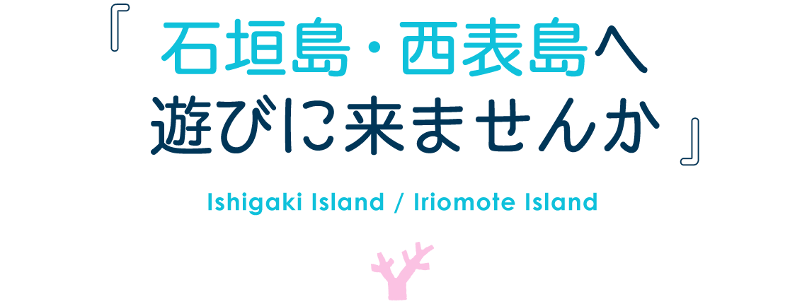 石垣島・西表島へ遊びに来ませんか